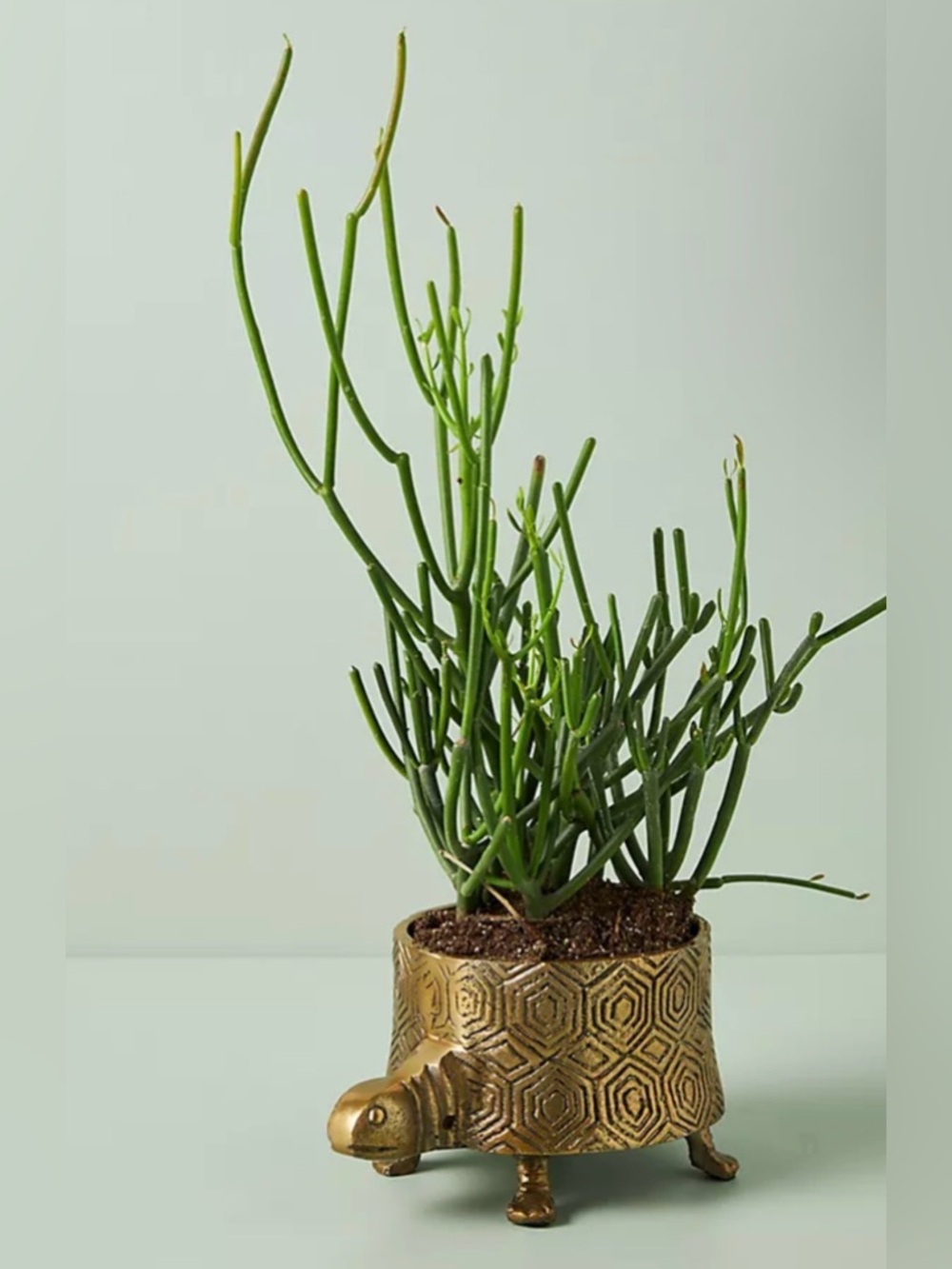 Anthropologie Turtle Planter, NWT